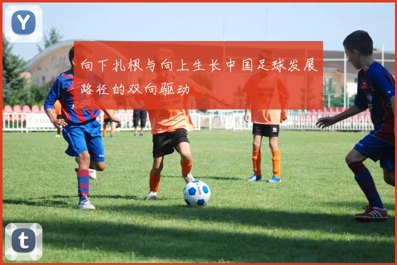 向下扎根与向上生长中国足球发展路径的双向驱动