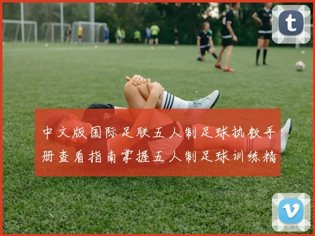 中文版国际足联五人制足球执教手册查看指南掌握五人制足球训练精髓